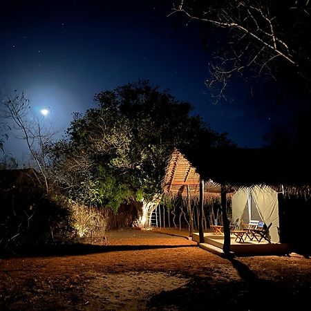 Ranakeliya Lodge - Yala Luaran gambar