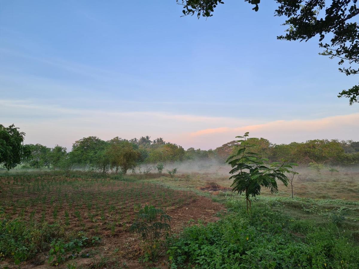 Ranakeliya Lodge - Yala Luaran gambar