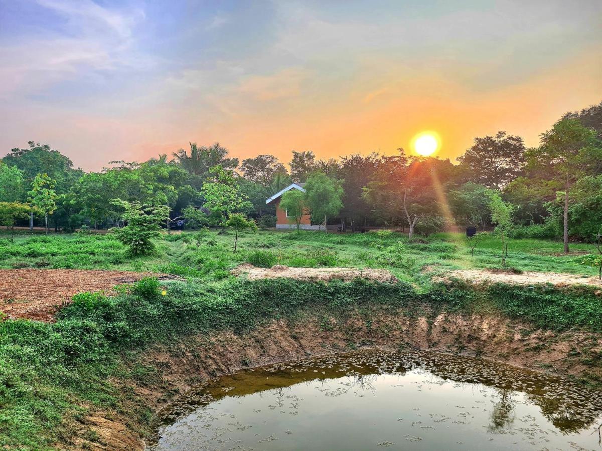 Ranakeliya Lodge - Yala Luaran gambar