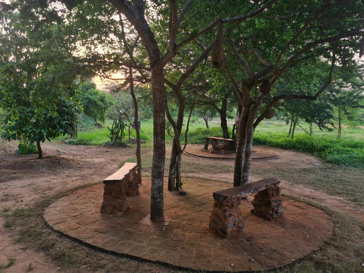 Ranakeliya Lodge - Yala Luaran gambar