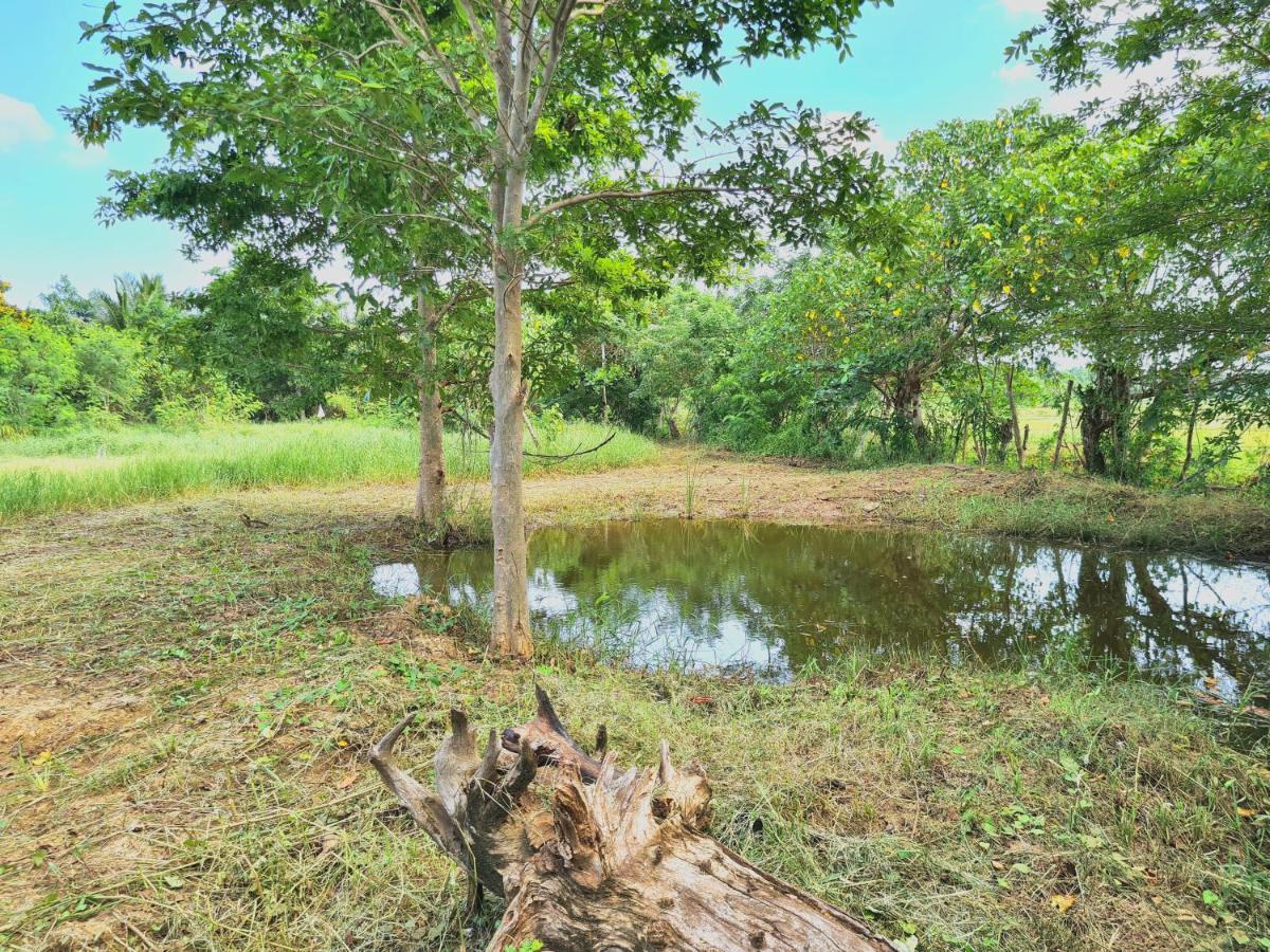 Ranakeliya Lodge - Yala Luaran gambar