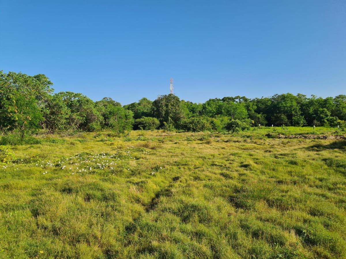 Ranakeliya Lodge - Yala Luaran gambar