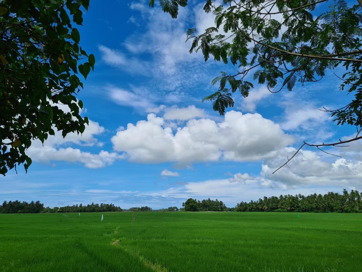 Ranakeliya Lodge - Yala Luaran gambar