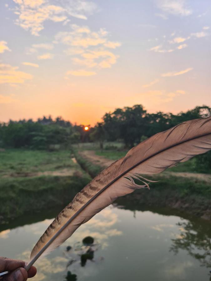 Ranakeliya Lodge - Yala Luaran gambar