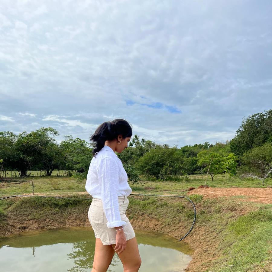 Ranakeliya Lodge - Yala Luaran gambar