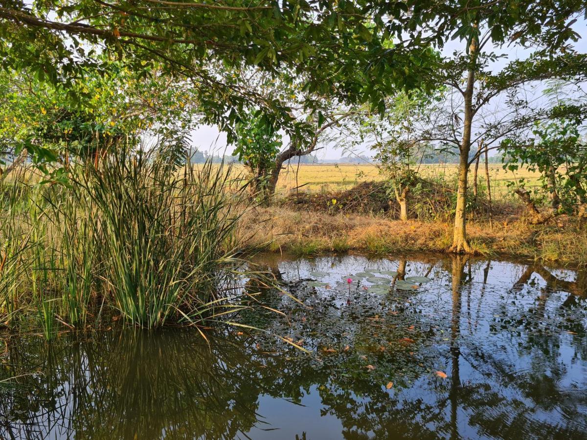 Ranakeliya Lodge - Yala Luaran gambar